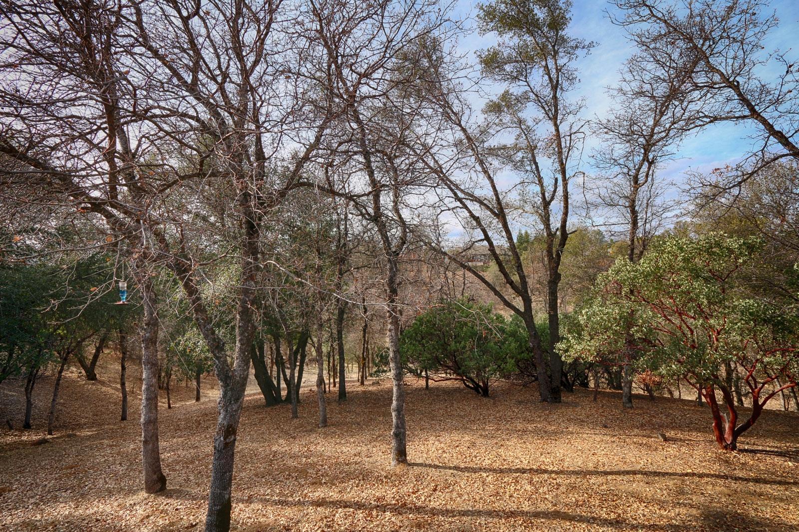 20844 Chicken Springs Road Redding, CA 96003 - Photo 4 of 28 backyard