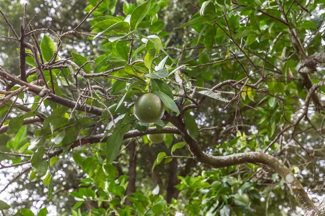 $249,000 | 6624 Northwest 29th Terrace, Gainesville, FL 32653