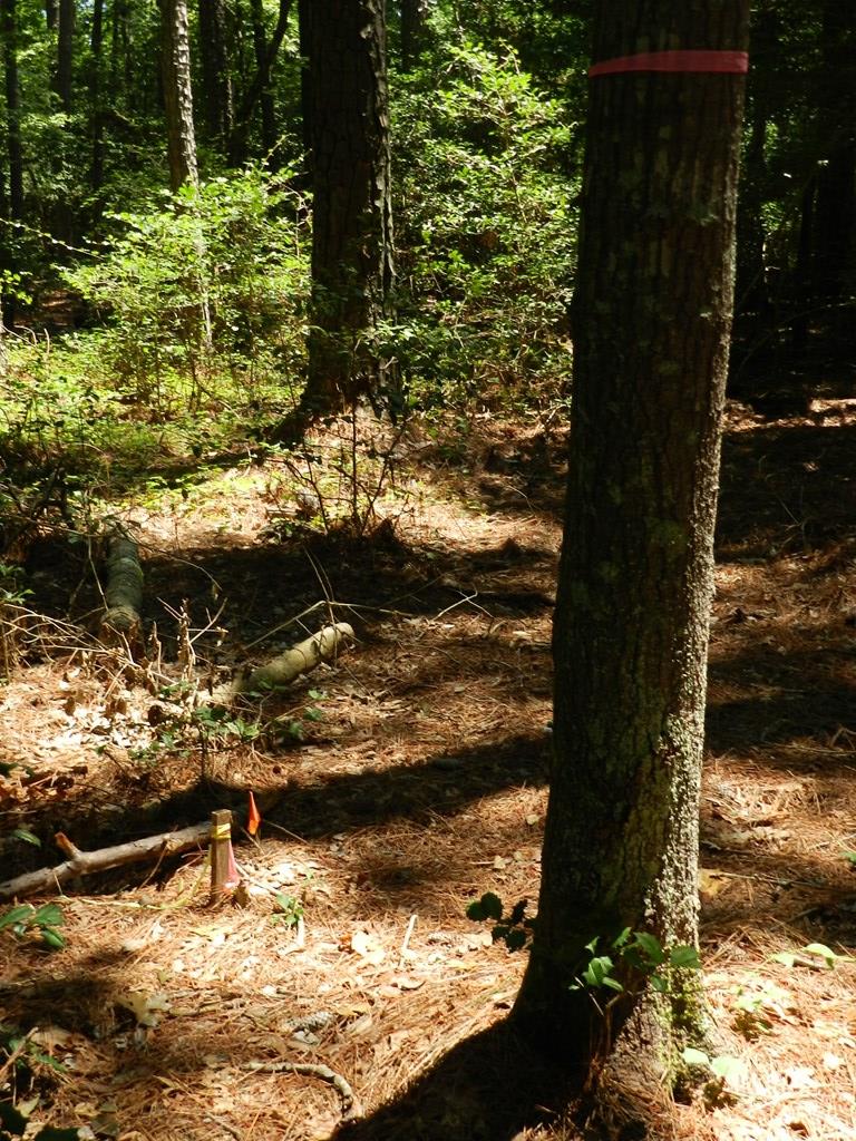 Lot B6 Saltworks Road, Unit B6 Exmore, VA 23350 - Photo 28 of 28