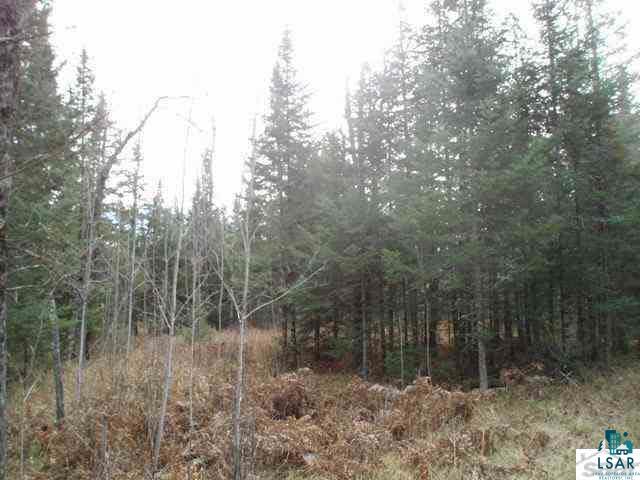 1425 X Carlson Road Brule, WI 54820 - Photo 11 of 17