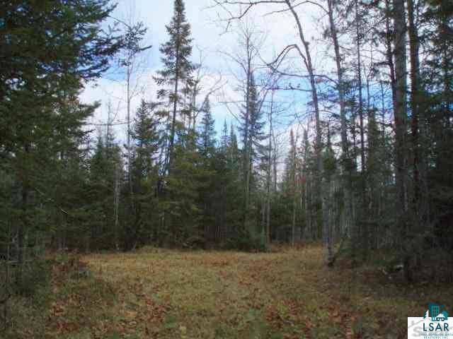 1425 X Carlson Road Brule, WI 54820 - Photo 3 of 17