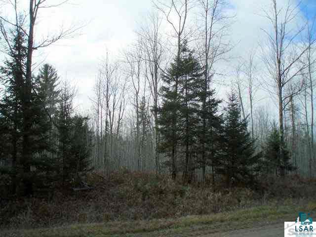 1425 X Carlson Road Brule, WI 54820 - Photo 6 of 17