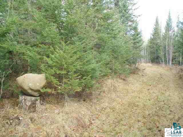 1425 X Carlson Road Brule, WI 54820 - Photo 8 of 17