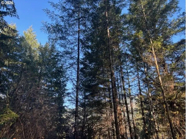 a view of electric tree