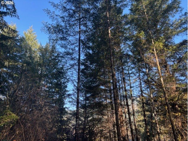 Brice Creek Road Dorena, OR 97434 - Photo 12 of 13