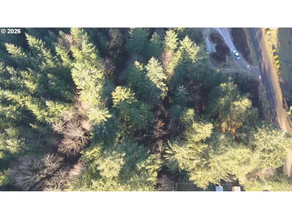 a black and white photo of a house