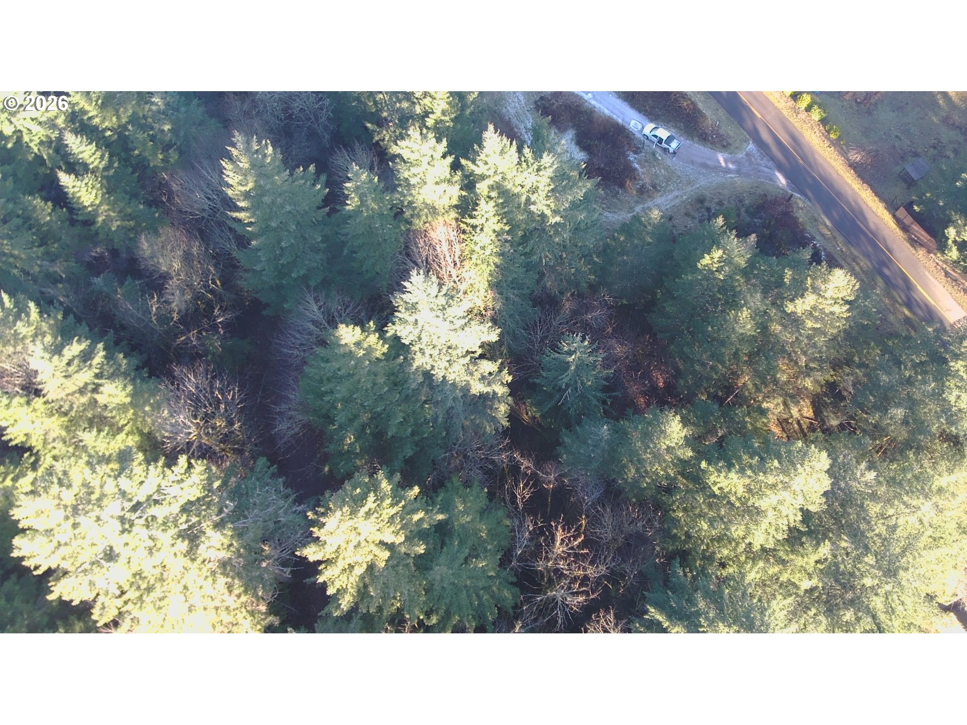 Brice Creek Road Dorena, OR 97434 - Photo 4 of 13