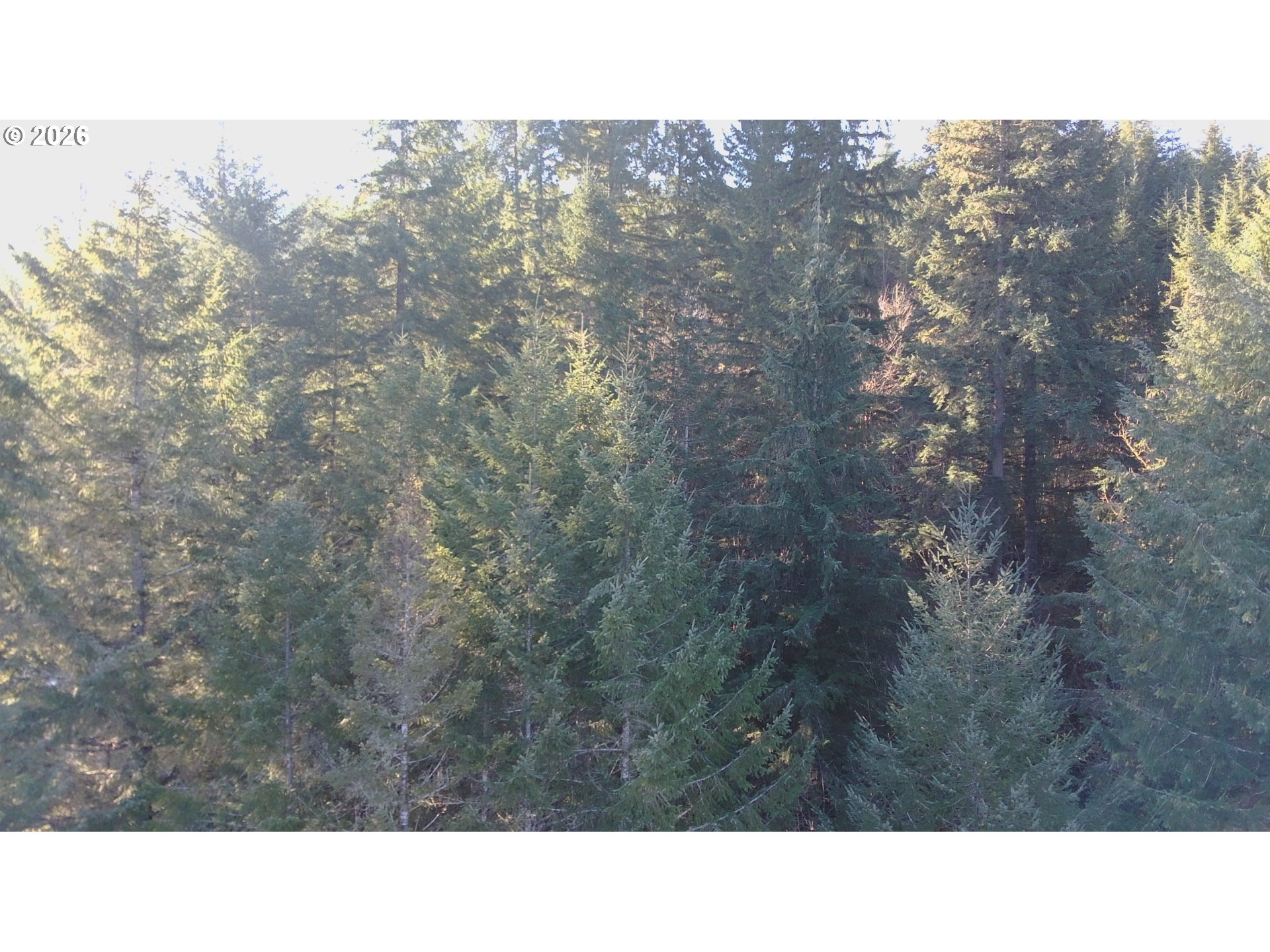 Brice Creek Road Dorena, OR 97434 - Photo 6 of 13