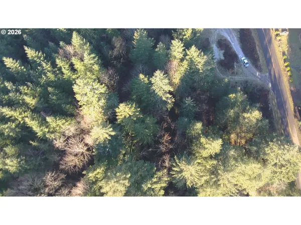 a black and white photo of a house