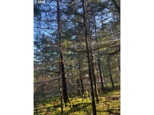 a view of a yard from a balcony