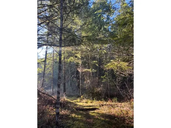 a view of a bird bath