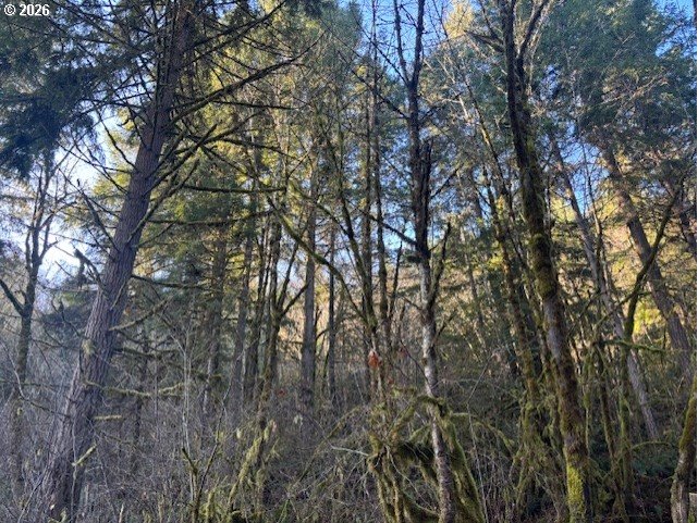 Brice Creek Road Dorena, OR 97434 - Photo 10 of 13