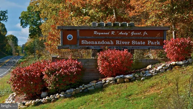 a view of a big yard with a large trees
