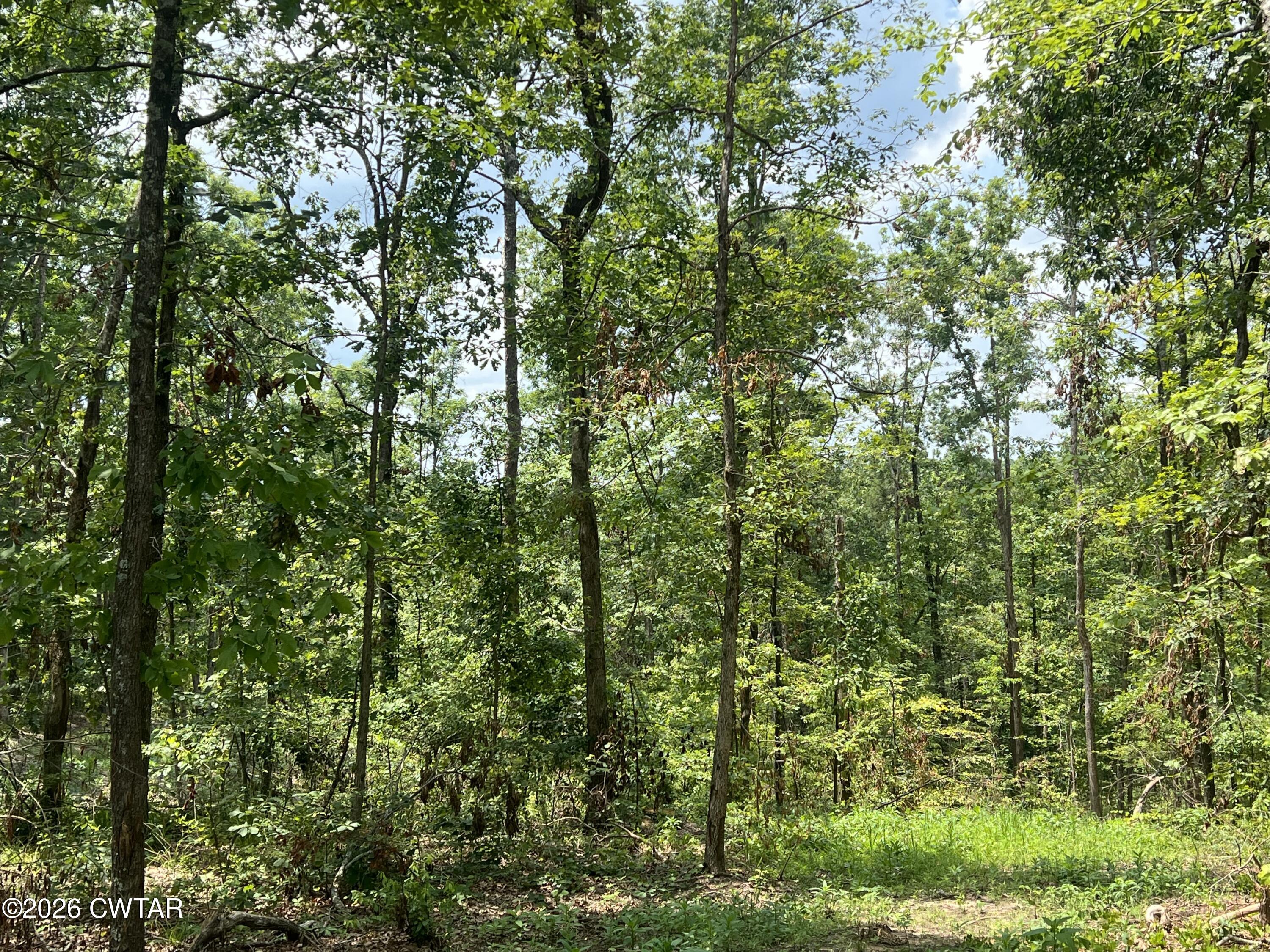 4600 Silerton Road Henderson, TN 38340 - Photo 9 of 16 IMG_6466