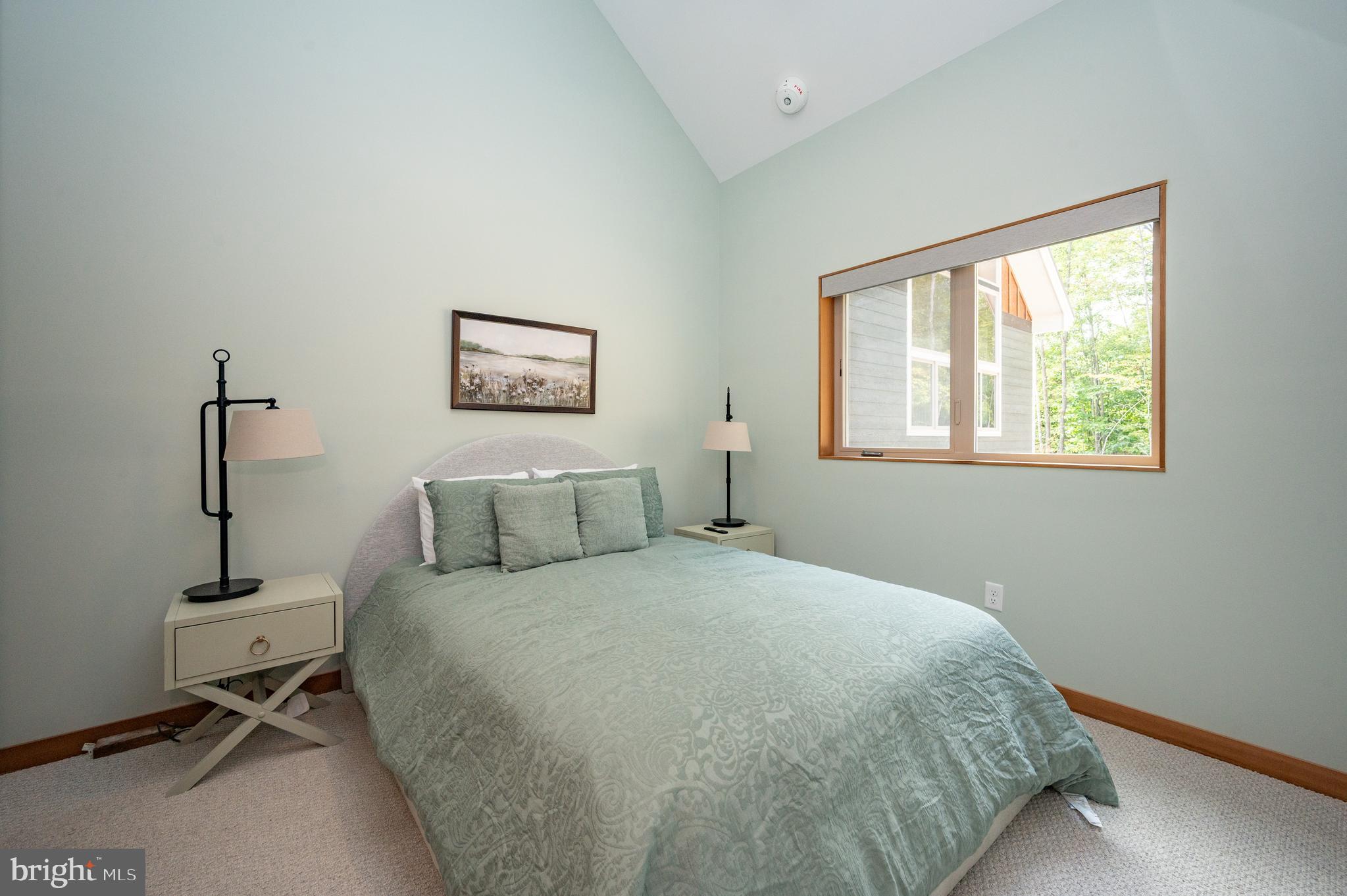 2614 Marsh Hill Road McHenry, MD 21541 - Photo 29 of 76