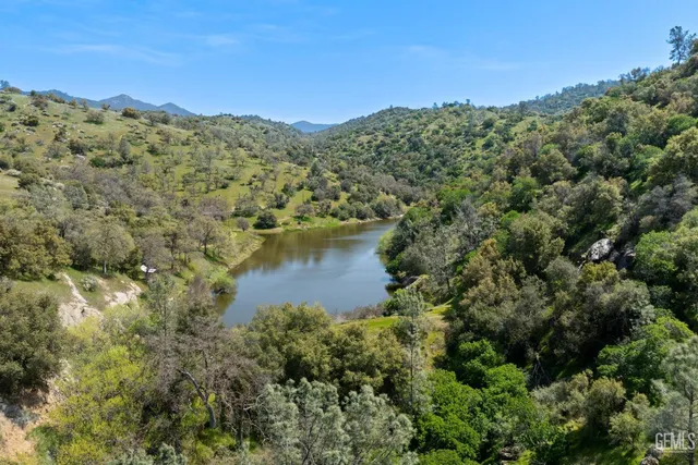 a view of a backyard with plants