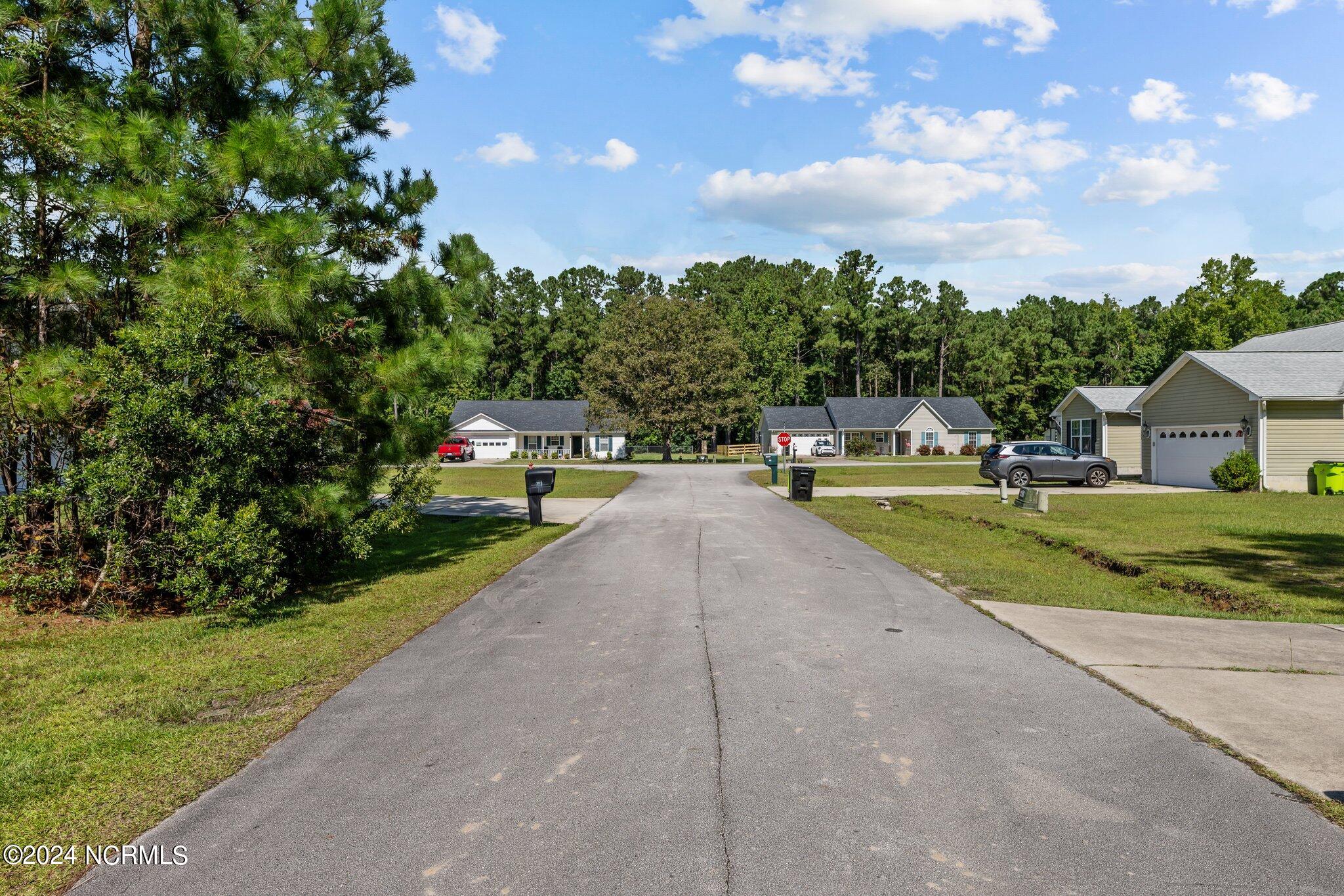 102 Redbud Court Havelock, NC 28532 - Photo 24 of 25 21-web-or-mls-DSC_8002