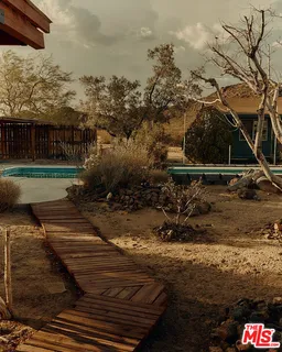 a view of a backyard