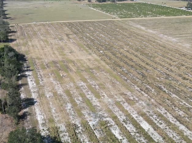 0 Angus Road Bartow, FL 33830 - Photo 1 of 1