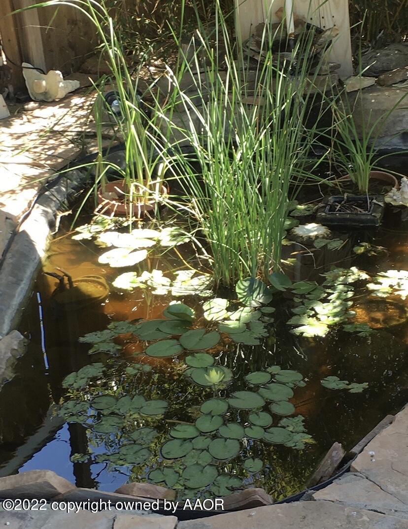 8104 Marni Trail Amarillo, TX 79110 - Photo 27 of 35 Backyard Pond View 3