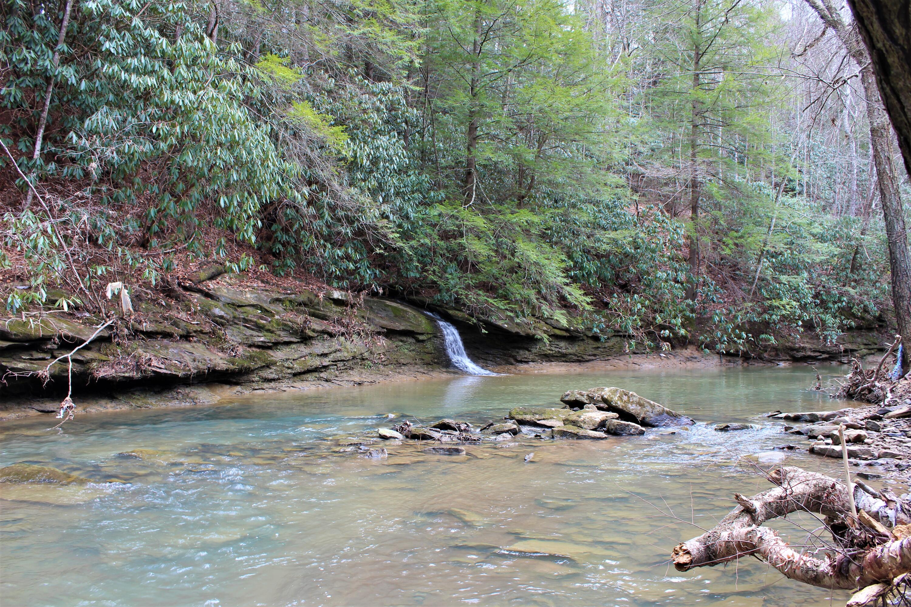 1245 North Shady Lane Road Campton, KY 41301 - Photo 39 of 96 040 and one more of the waterfalls pouri