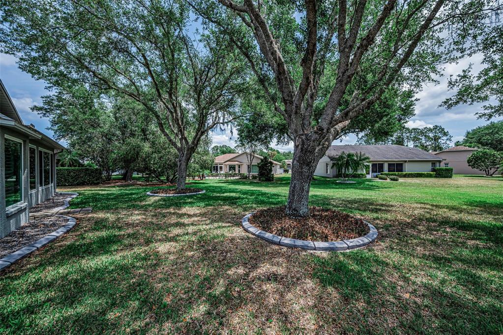 1300 Fallowfield Drive Trinity, FL 34655 - Photo 28 of 96