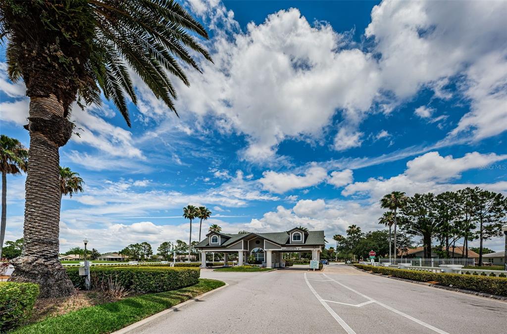 1300 Fallowfield Drive Trinity, FL 34655 - Photo 34 of 96