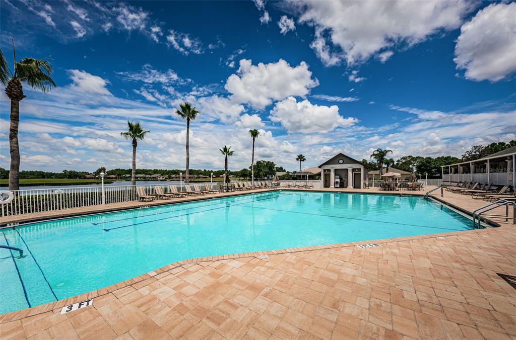1300 Fallowfield Drive Trinity, FL 34655 - Photo 69 of 96