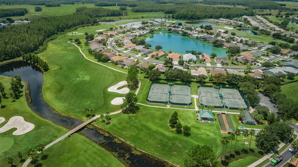 1300 Fallowfield Drive Trinity, FL 34655 - Photo 82 of 96