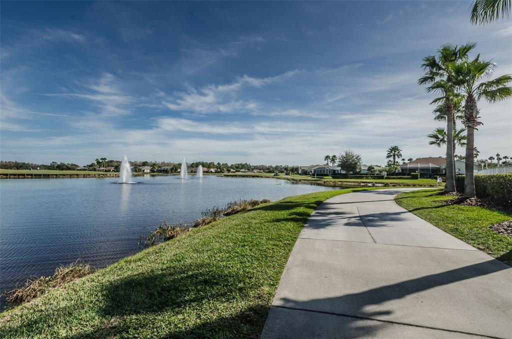 1300 Fallowfield Drive Trinity, FL 34655 - Photo 93 of 96