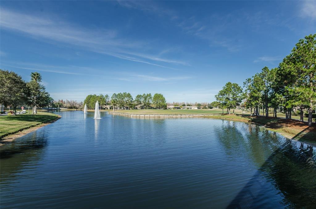 1300 Fallowfield Drive Trinity, FL 34655 - Photo 95 of 96