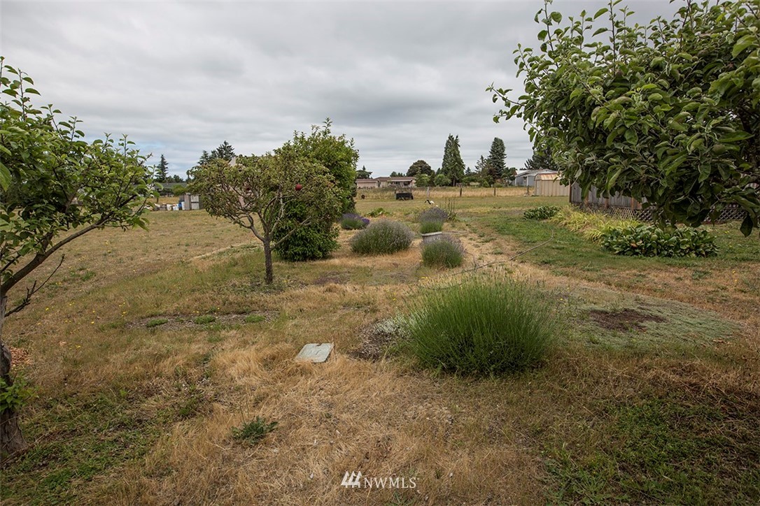 92 Williamson Road Sequim, WA 98382 - Photo 15 of 19