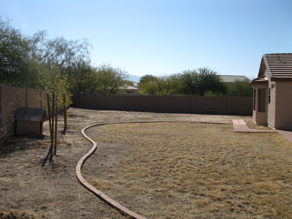 2303 West Darrel Road Phoenix, AZ 85041 - Photo 15 of 18 Large Back Yard