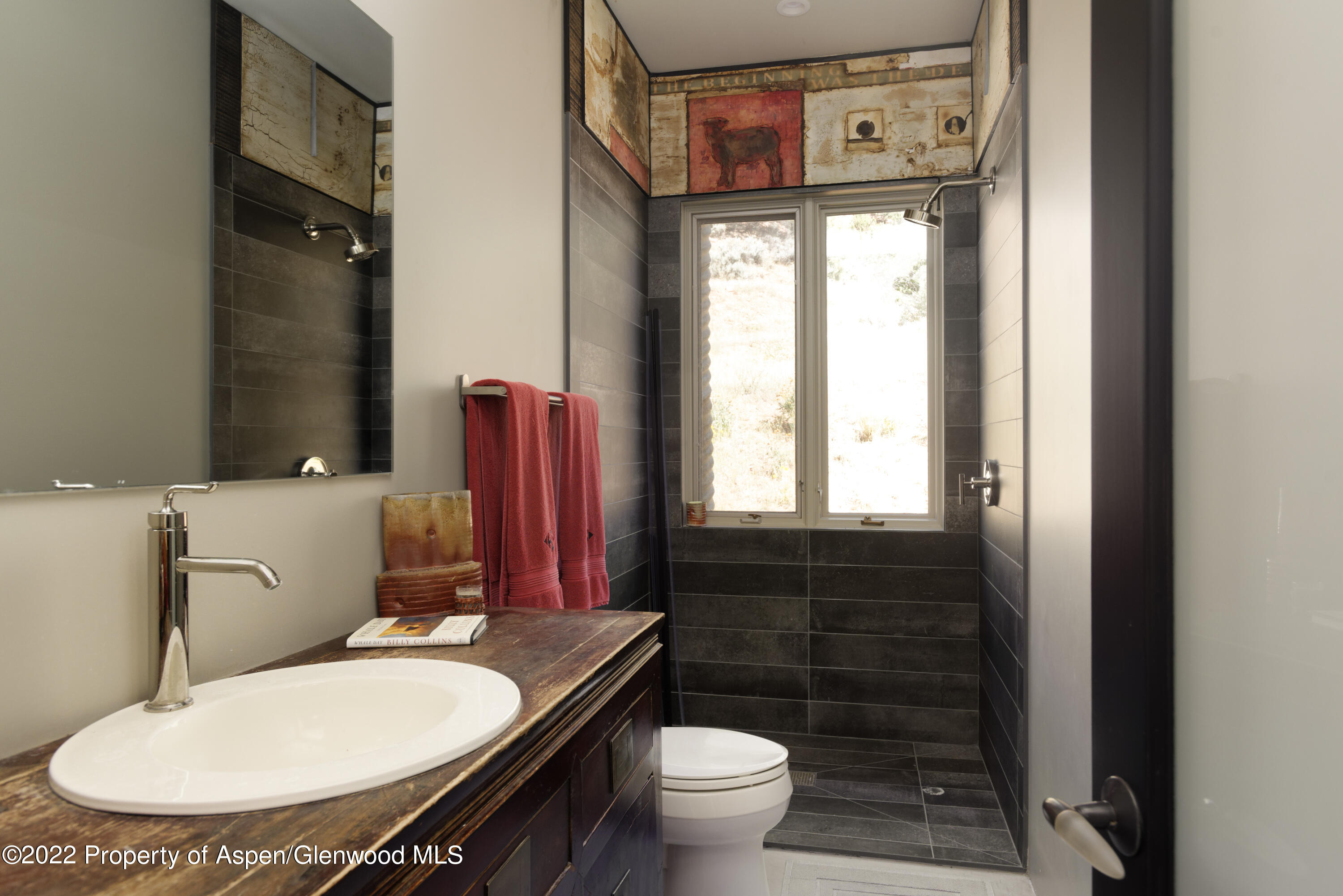 202 Castle View Drive Basalt, CO 81621 - Photo 16 of 29 a bathroom with a toilet sink and mirror