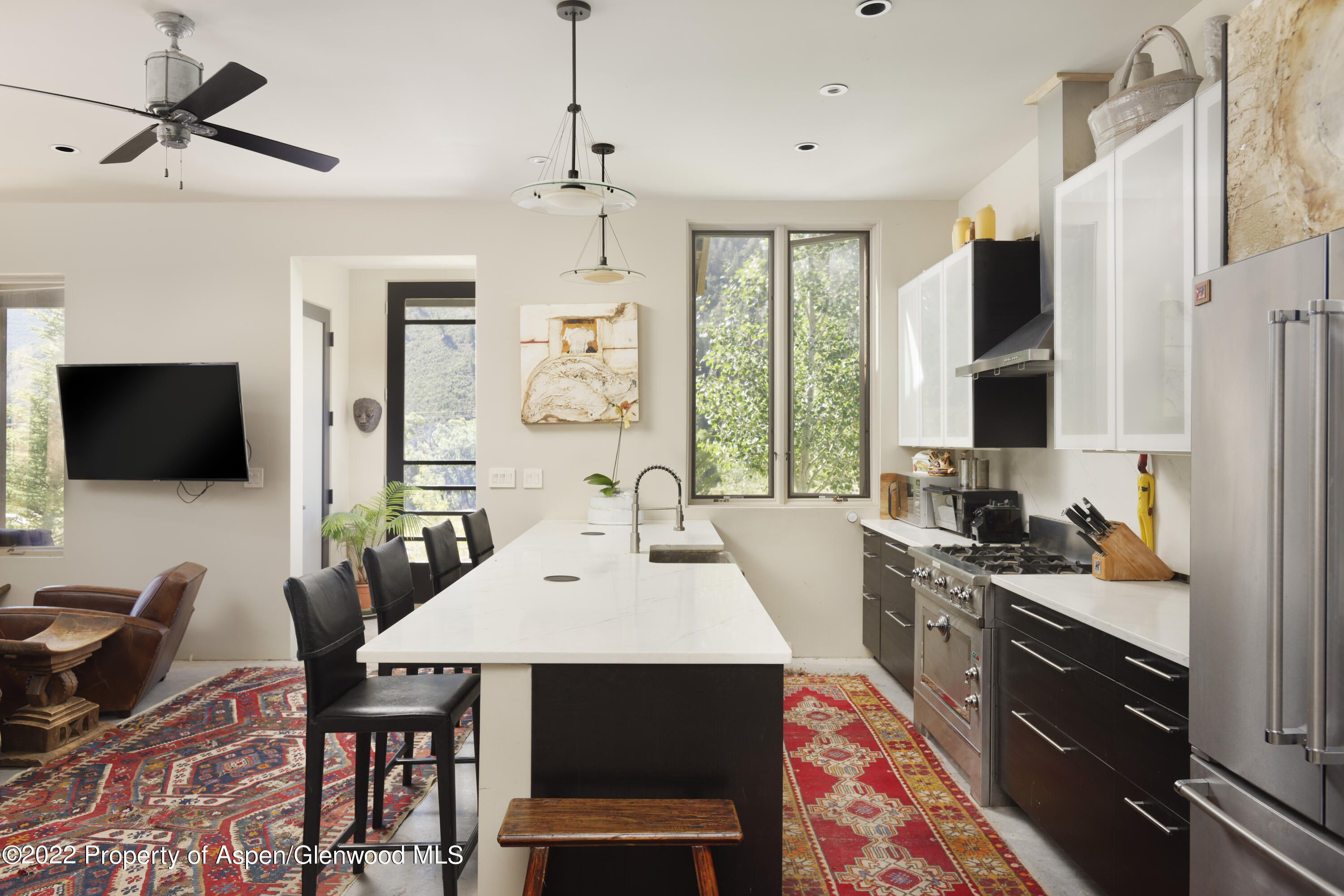 202 Castle View Drive Basalt, CO 81621 - Photo 5 of 29 a kitchen with stainless steel appliances a dining table and chairs