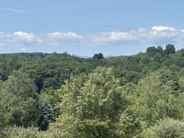 81 Maiers Road Craryville, NY 12521 - Photo 6 of 15 IMG_4227