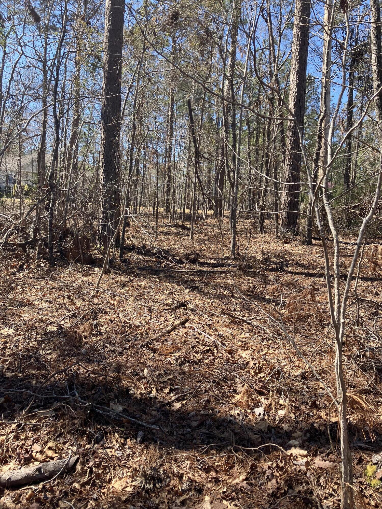 135 Antioch Drive McCormick, SC 29835 - Photo 3 of 7 IMG_5376