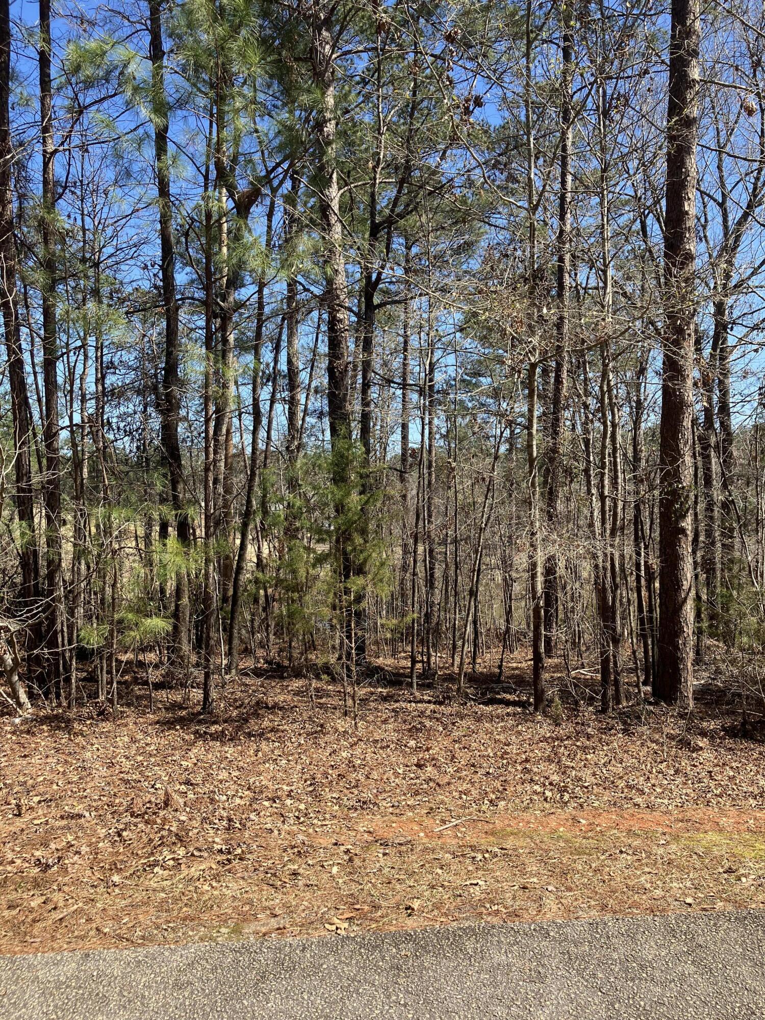 135 Antioch Drive McCormick, SC 29835 - Photo 4 of 7 IMG_5377