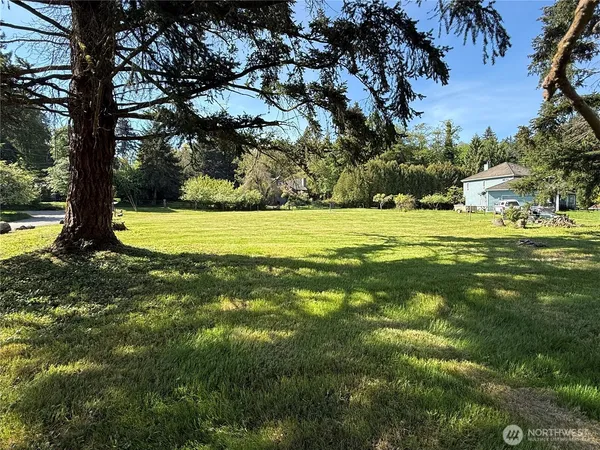 a view of an ocean from a yard