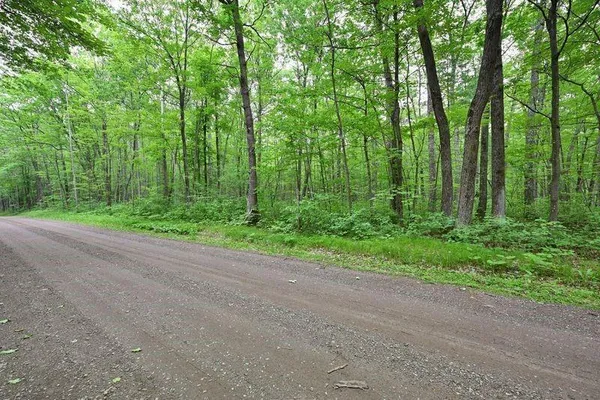 $28,320 | Lot 1 North Chippewa Avenue, Hayward, WI 54843