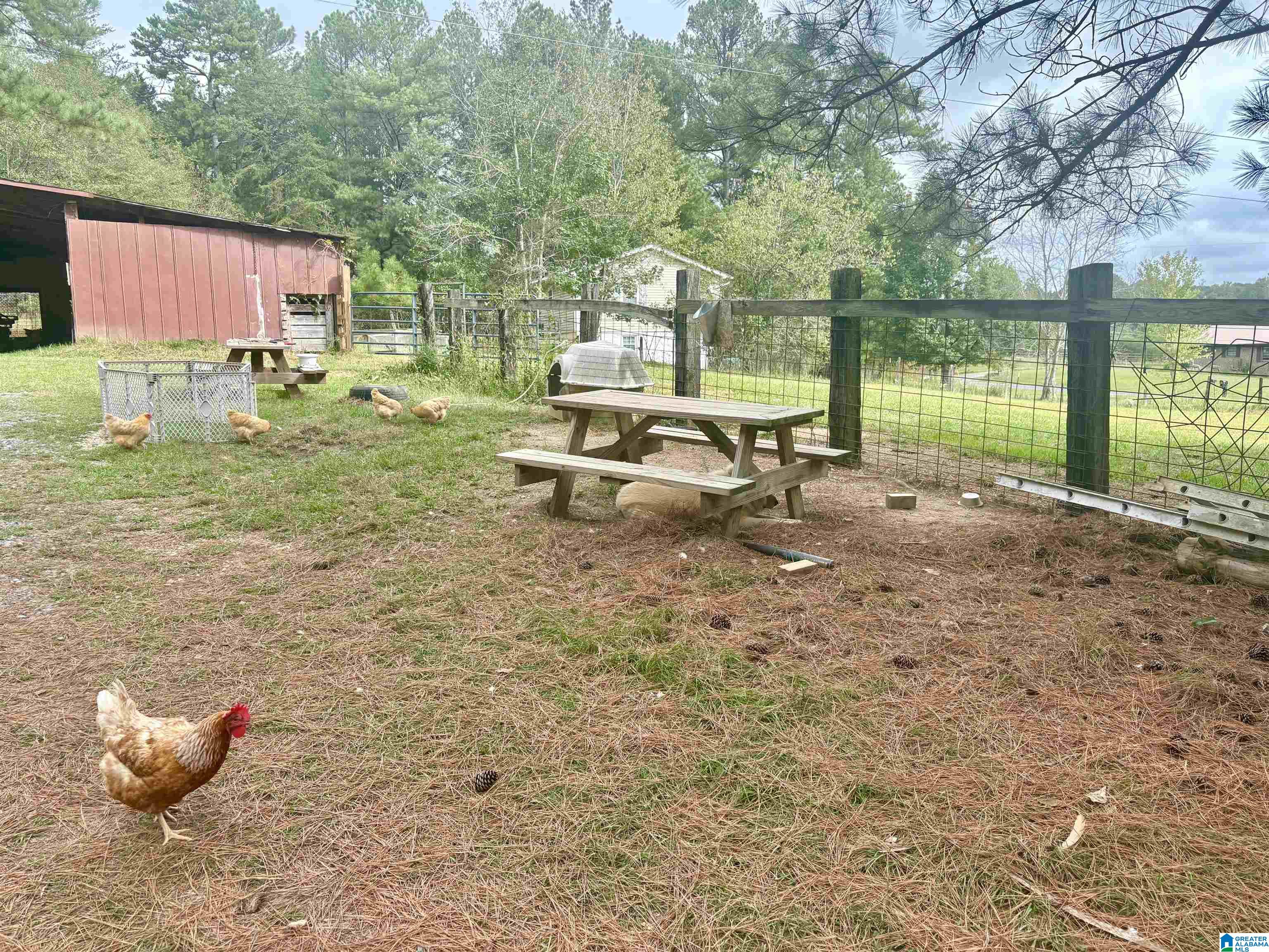 55 Honeycutt Road, Unit 55 Remlap, AL 35133 - Photo 19 of 21