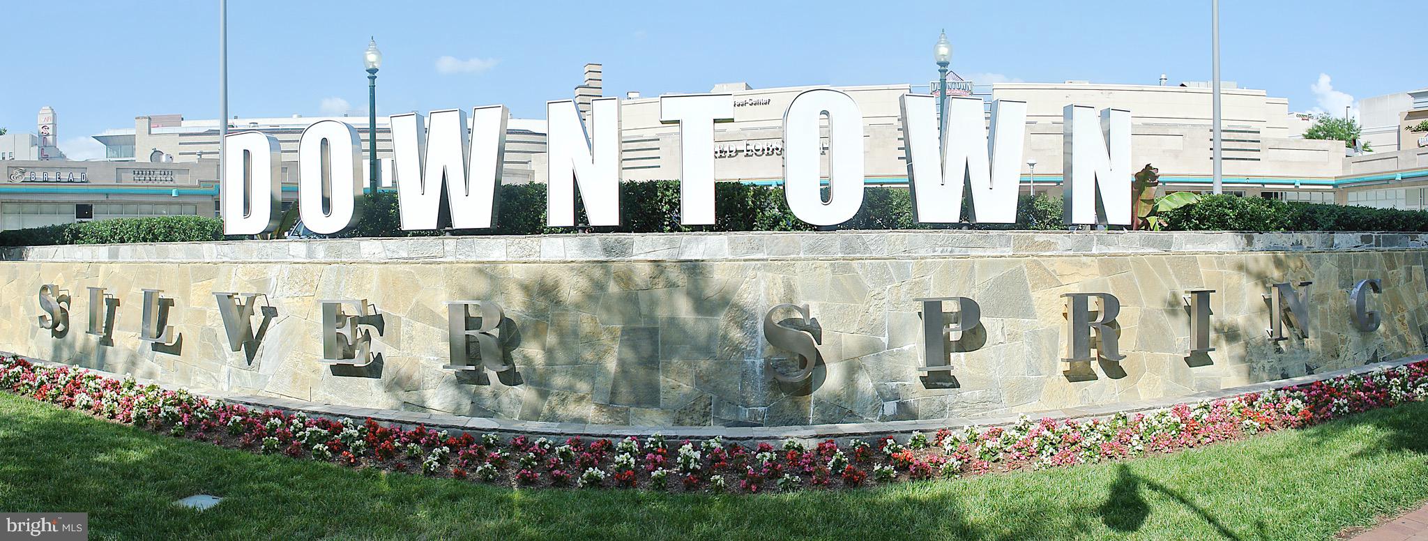 930 Wayne Avenue, Unit 207 Silver Spring, MD 20910 - Photo 35 of 37