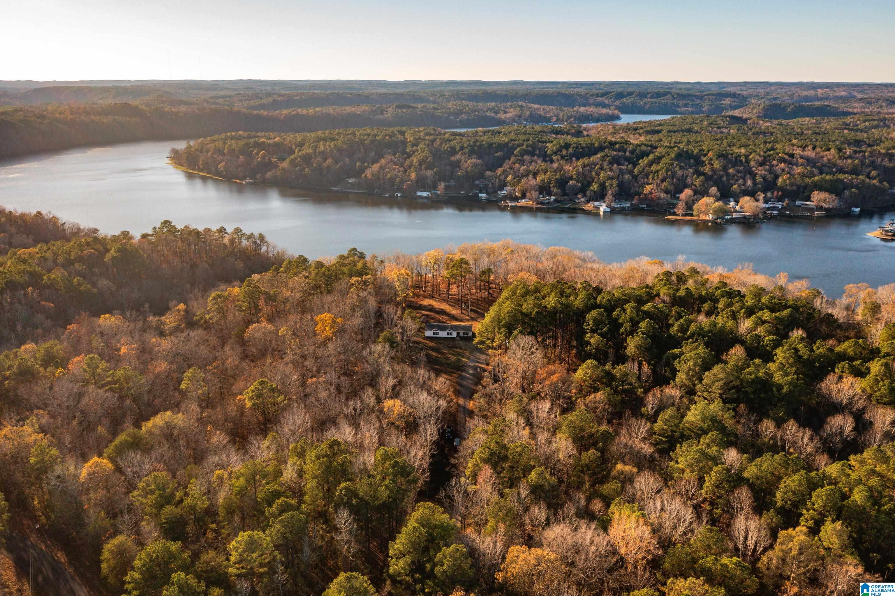 191 Warrior River Highlands Road Adger, AL 35006 - Photo 61 of 81