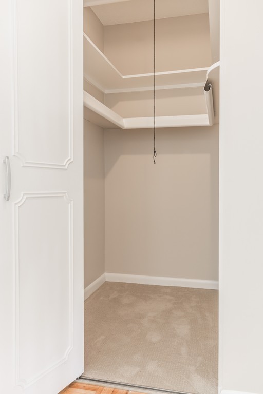 149 Lake Shore Road, Unit 1 Boston, MA 02135 - Photo 10 of 13 Gallery Image 10