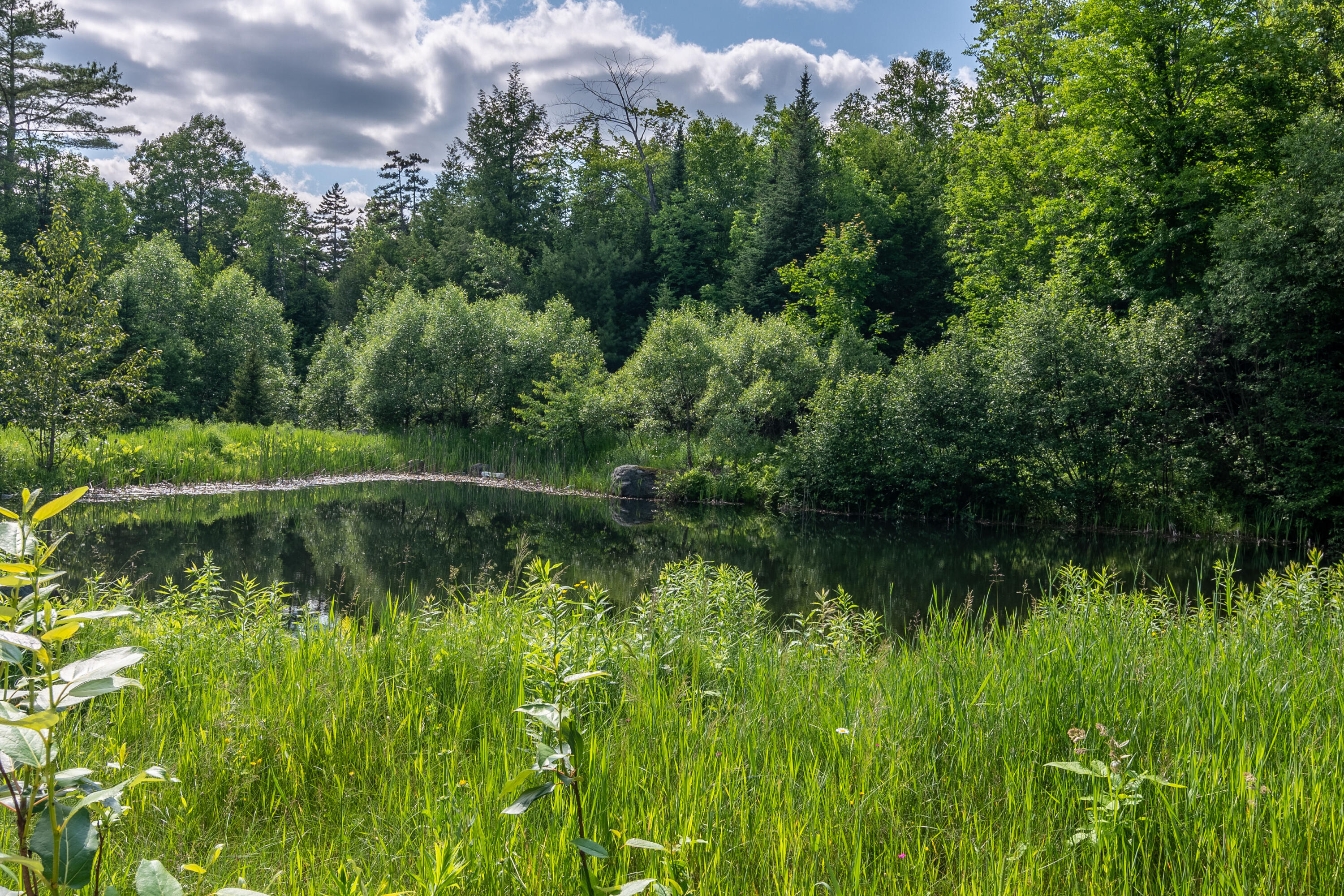 331 Maple Street Kingfield, ME 04947 - Photo 34 of 40 MapleSt-Pond1
