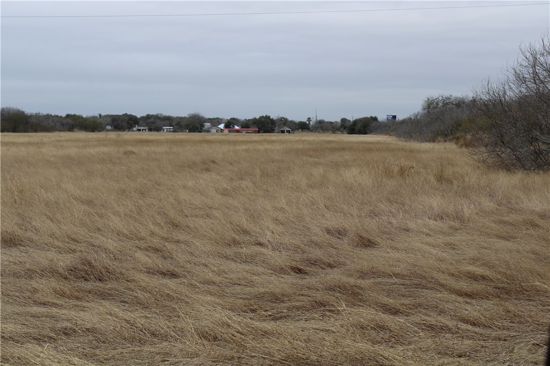 Undisclosed Address Mathis, TX 78368 - Photo 4 of 5