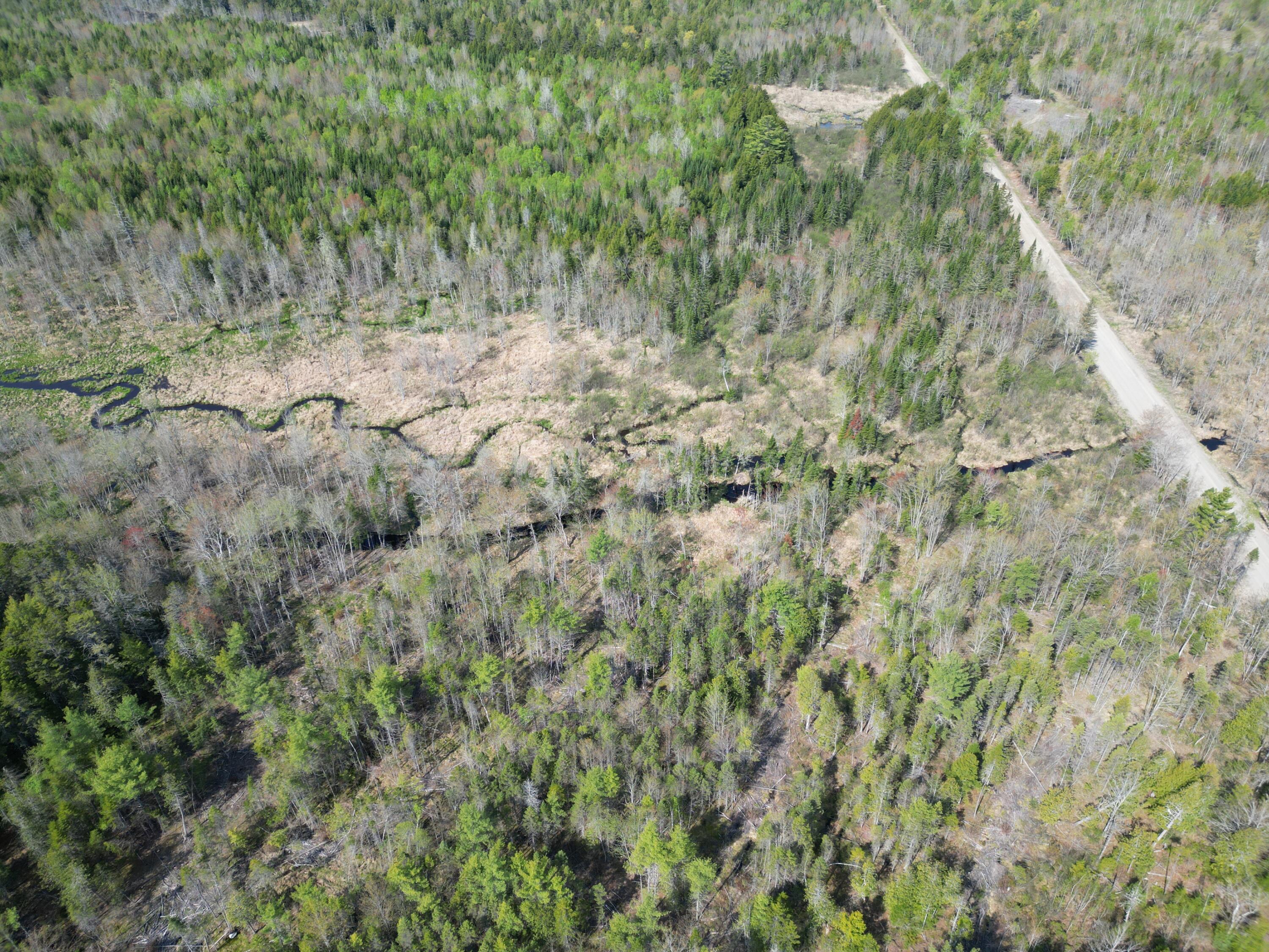 Lot 1 Mattamiscontis Road Howland, ME 04448 - Photo 14 of 15 DJI_0522