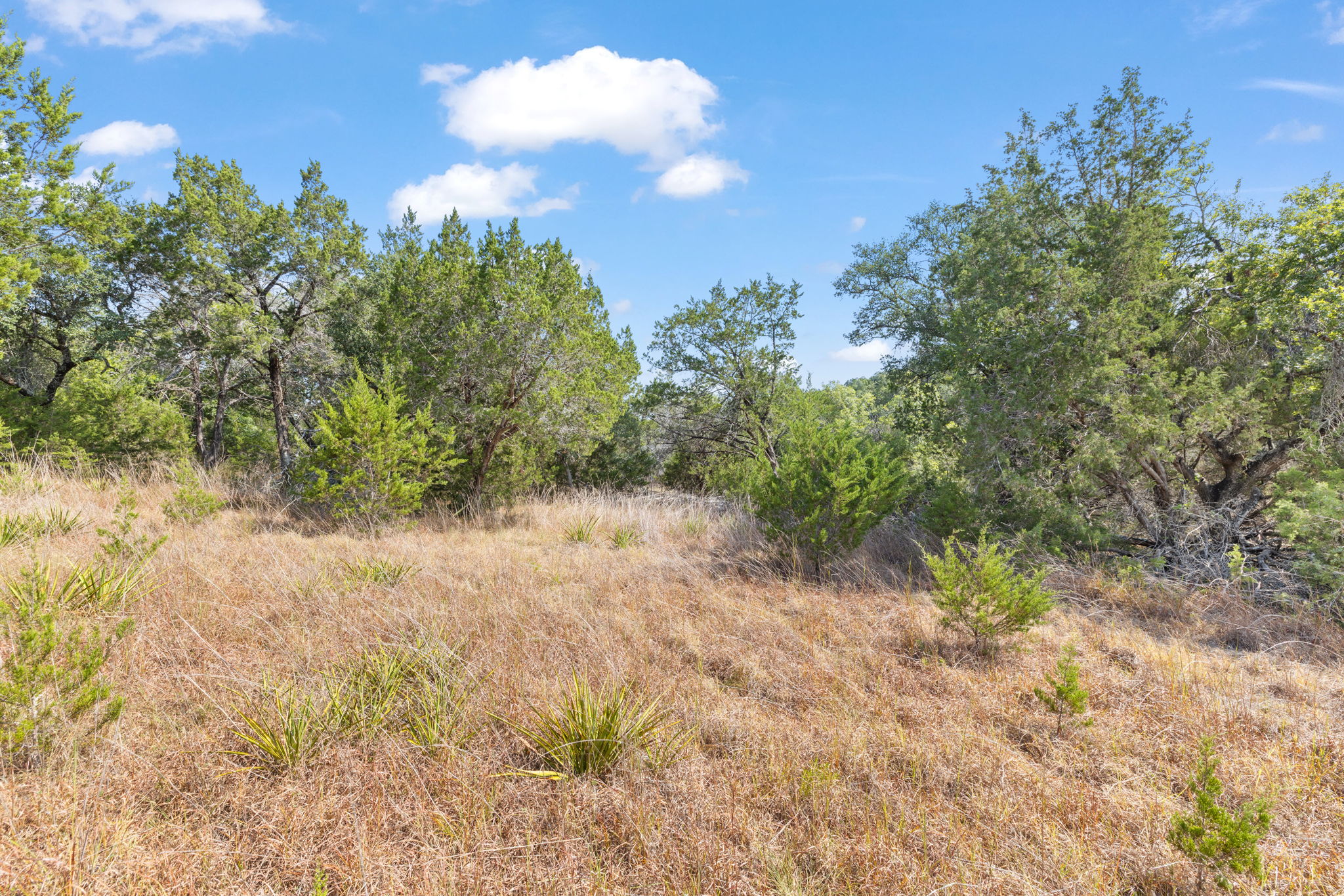 601 Lost Valley Road Dripping Springs, TX 78620 - Photo 30 of 40 Gallery Image 30