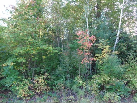 Lot 6 Northeast Pond Road Milton, NH 03851 - Photo 1 of 1 Gallery Image 1
