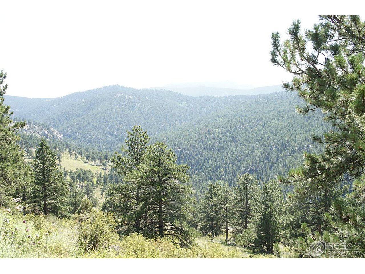 8933 Sugarloaf Road Boulder, CO 80302 - Photo 21 of 25 Sweeping views!